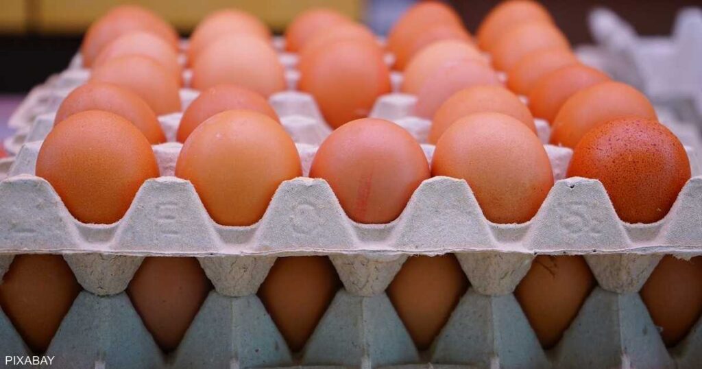 I work on suhoor...the price of a carton of eggs today for the consumer, Tuesday, April 2, 2024, how much is the egg?