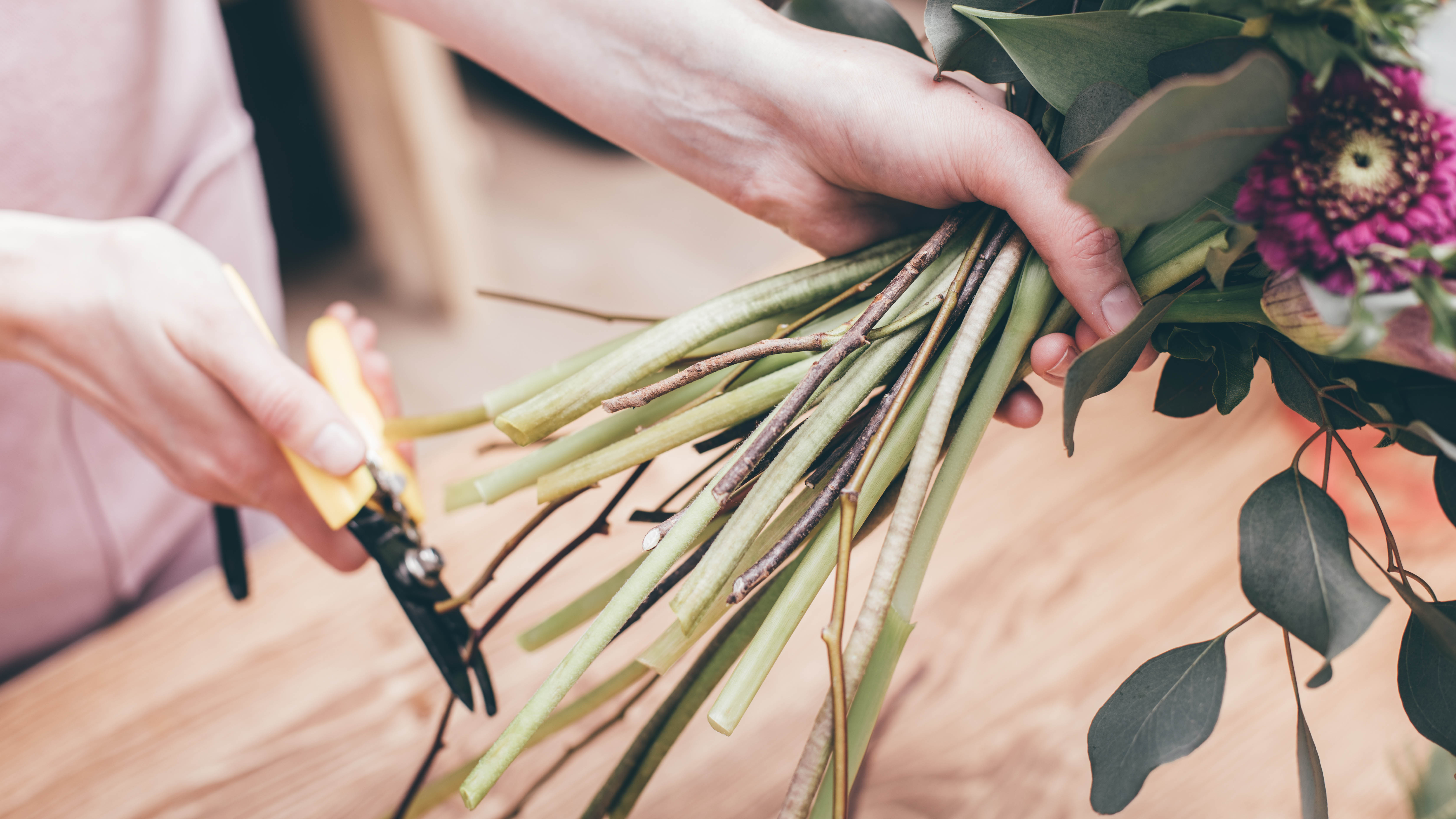 Cutting stems of flowers