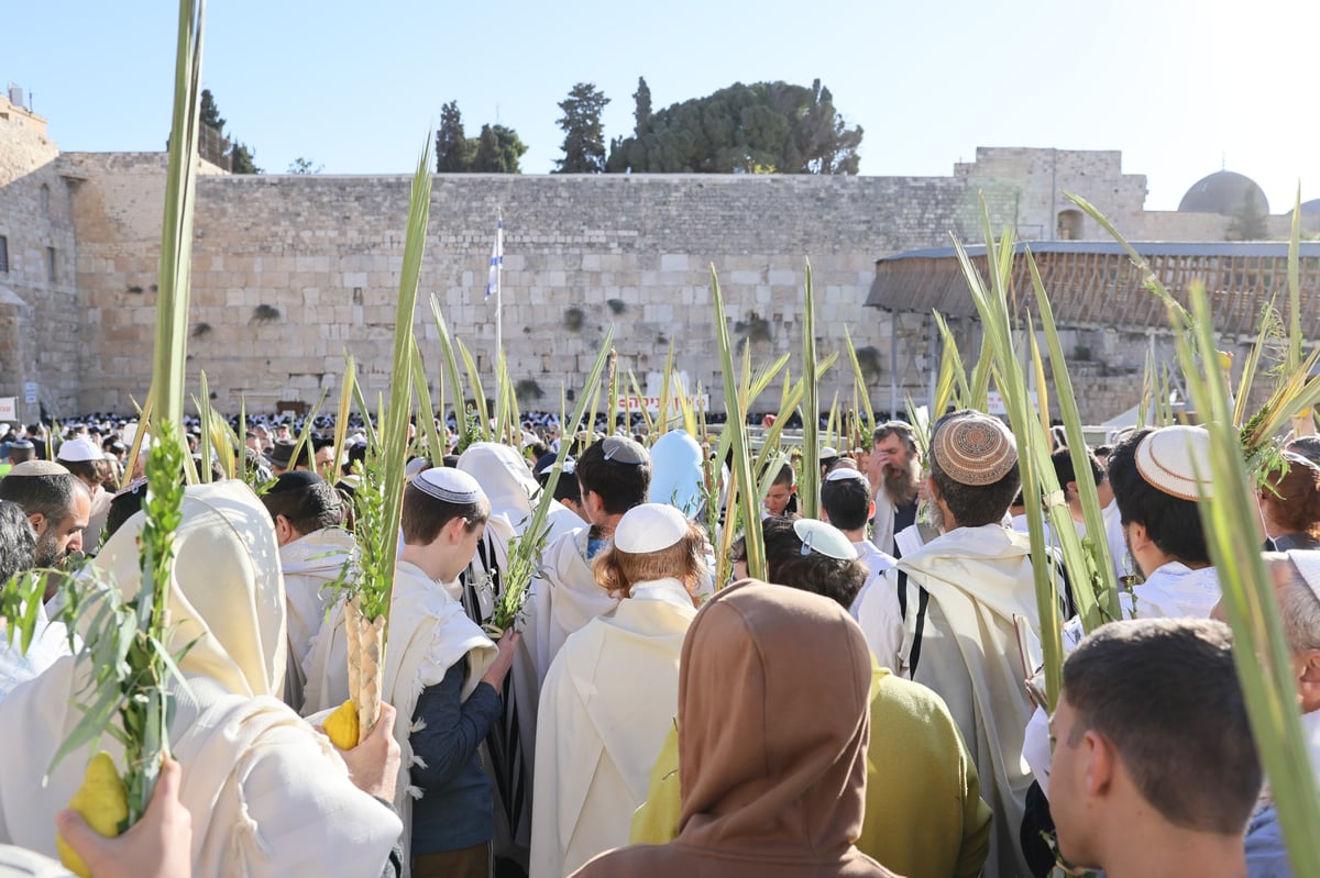 Morning prayer at the Western Wall, Hoshana Rabbah Tashf"the