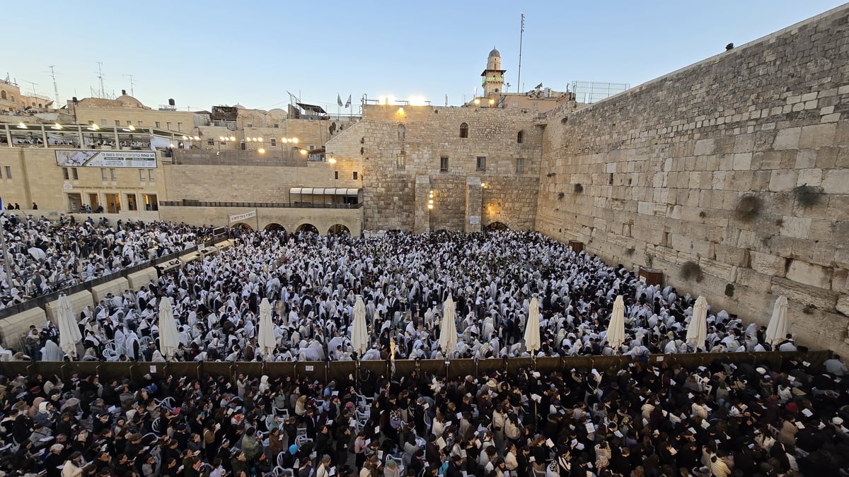 Morning prayer at the Western Wall, Hoshana Rabbah Tashf"the