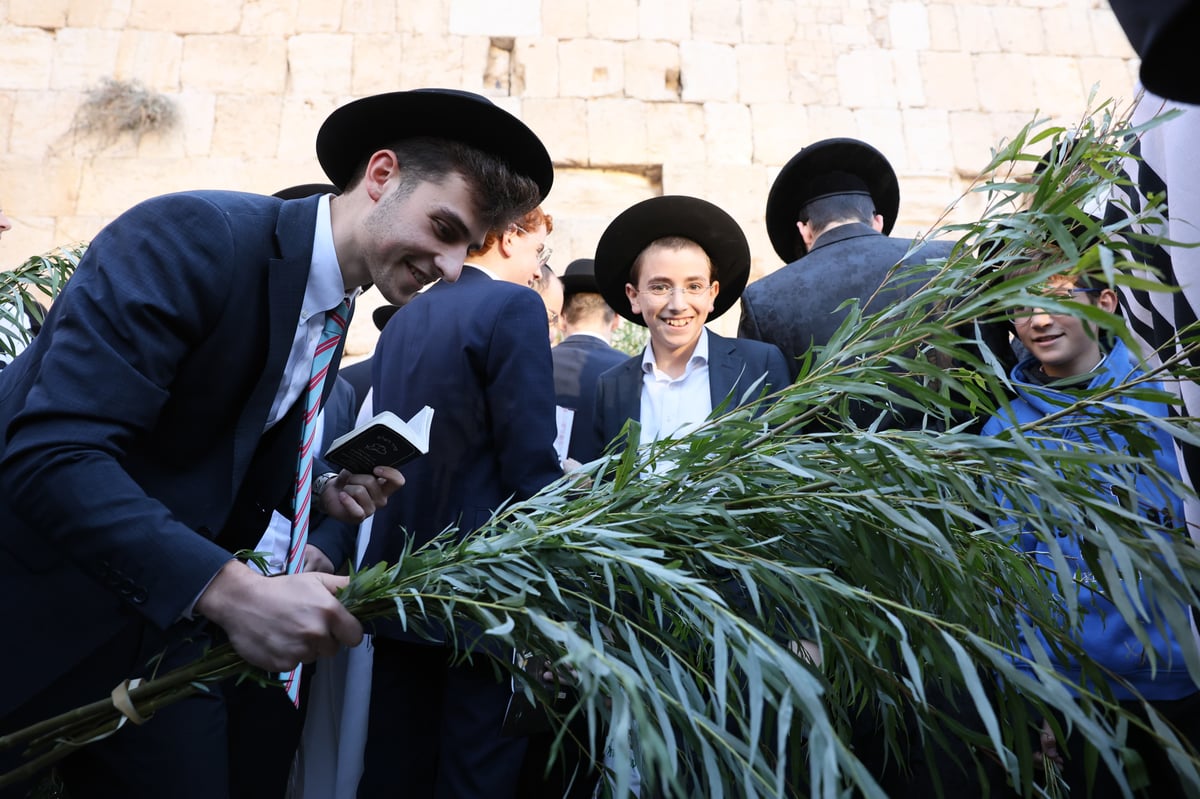 Morning prayer at the Western Wall, Hoshana Rabbah Tashf"the