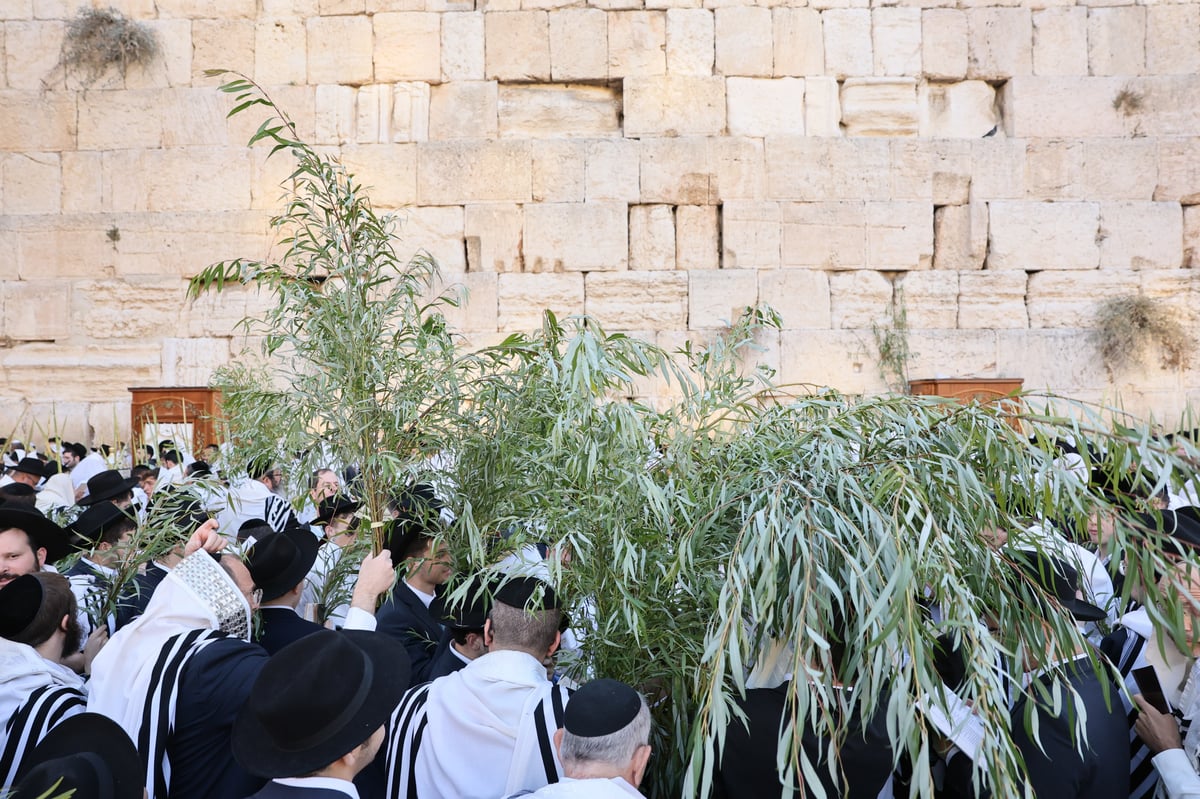 Morning prayer at the Western Wall, Hoshana Rabbah Tashf"the