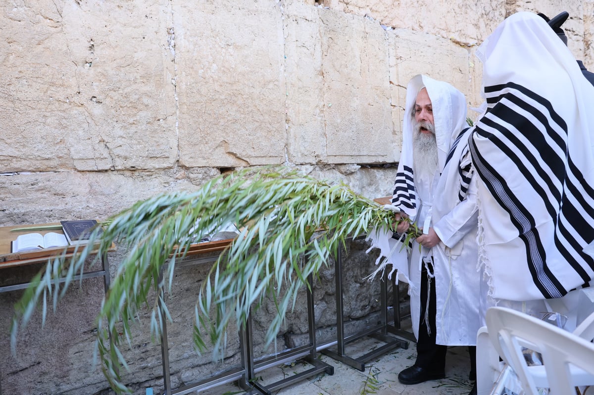 Morning prayer at the Western Wall, Hoshana Rabbah Tashf"the