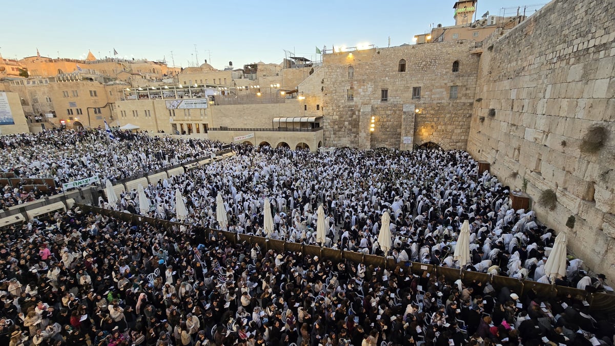 Morning prayer at the Western Wall, Hoshana Rabbah Tashf"the