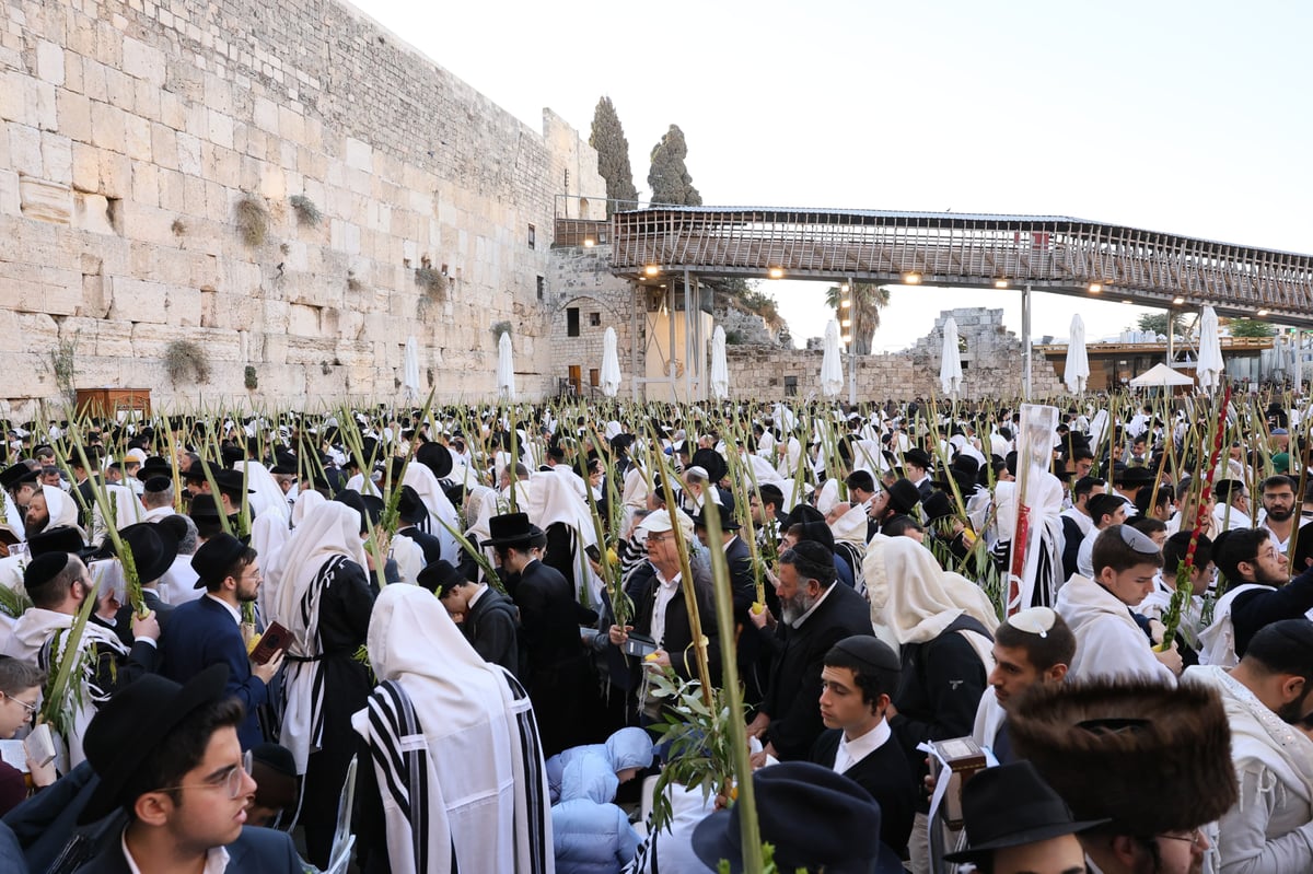 Morning prayer at the Western Wall, Hoshana Rabbah Tashf"the