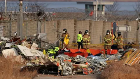 EPA Firefighters, some in brown outfits and some in white and black, search at the wreckage of the Jeju Air aircraft. Their backs at to the camera. The wreckage is barely identifiable as a plane apart from the tail